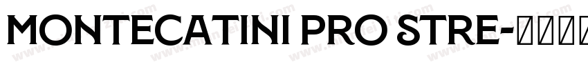 Montecatini Pro Stre字体转换